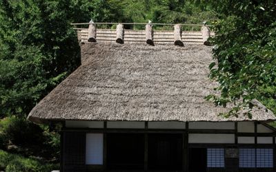 妙法院柱修復工事